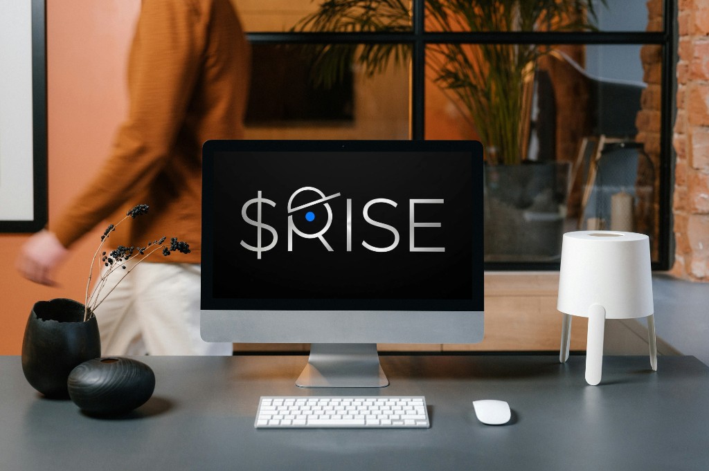 Rise functional architecture  $RISE on a desktop workspace